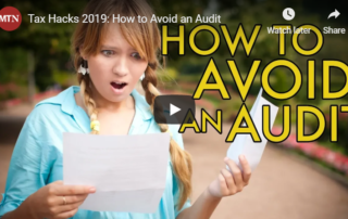 avoid audit