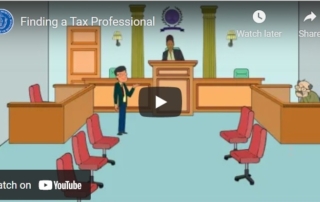 tax professional