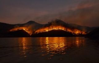wildfire