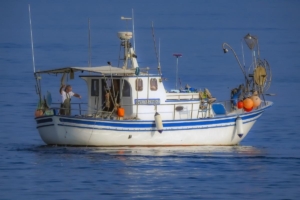 fishing business meal deduction